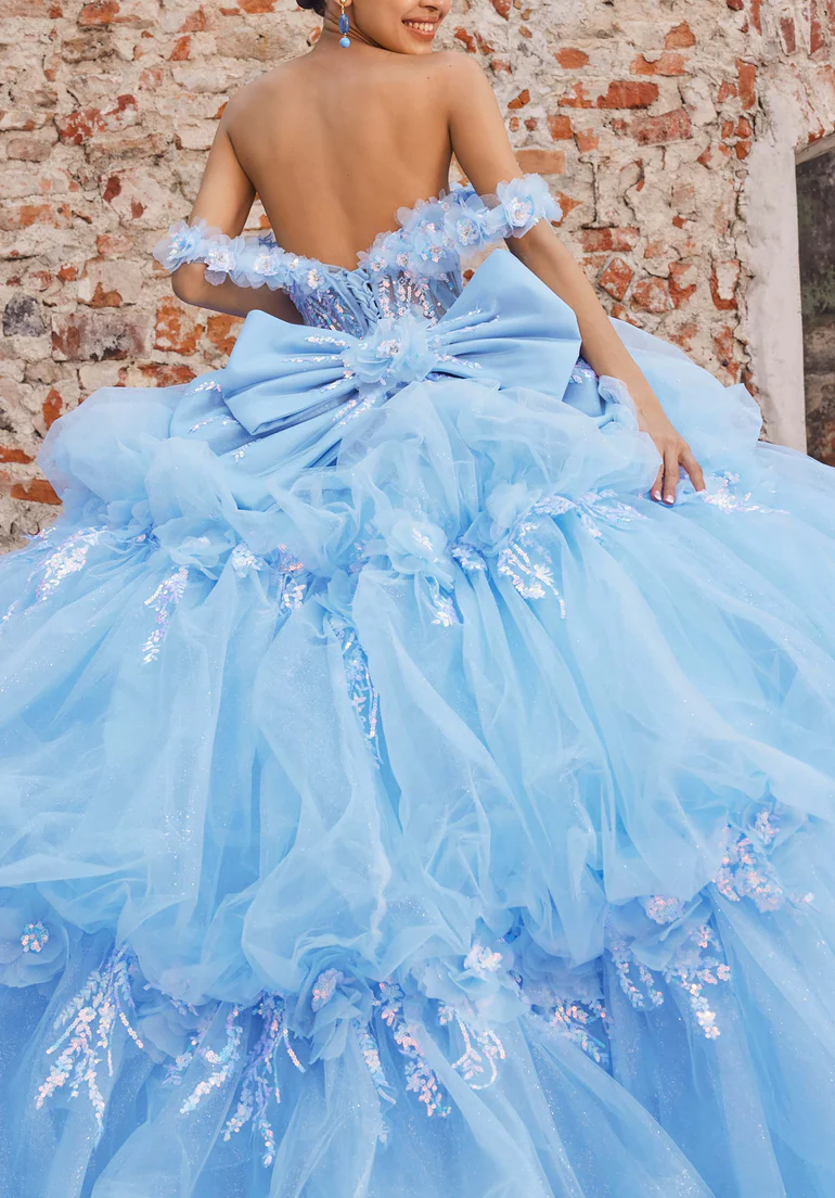 Quinceañera Dress 3